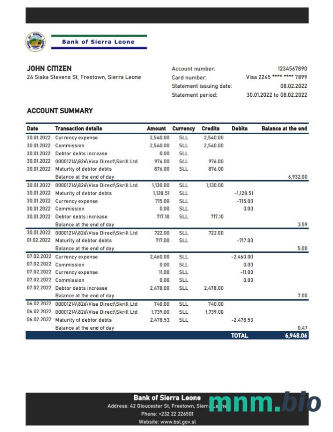 Szablon wyciągu bankowego Seszeli Bank Of Baroda w programie Word i PDF